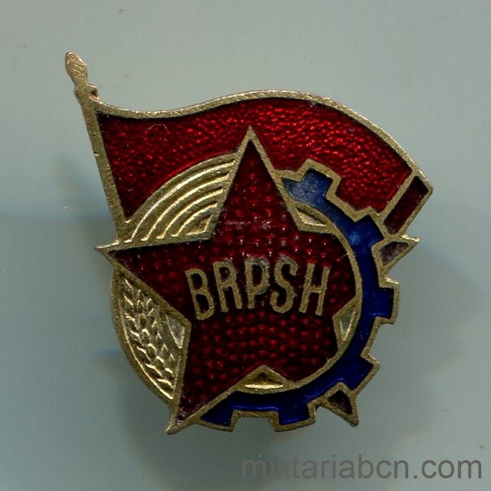 República Popular Socialista de Albania. Insignia de Miembro del BRPSh