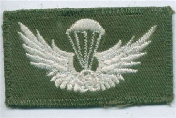 Corea del Sur.Paracaidista. Ejército de Tierra. Basic. Fondo verde.