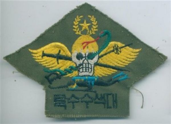 Corea del Sur. Paracaidista. SEAL.