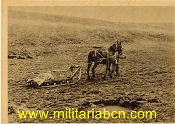 Militaria Barcelona