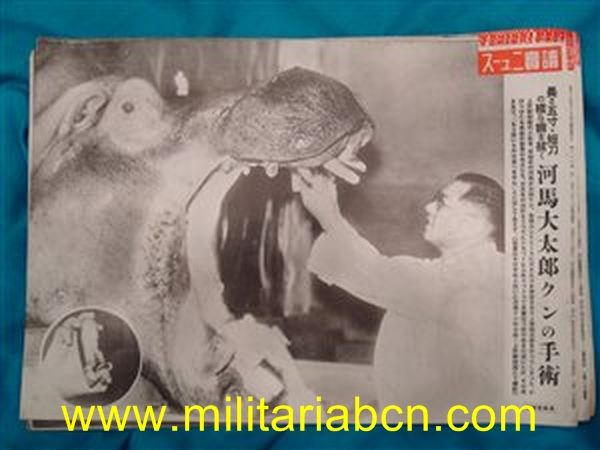 Militaria Barcelona