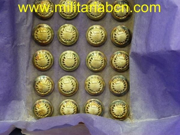 Conjunto de 24 botones.  Cuerpo Administrativo del Ejército.  Modelo 1887.  Tamaño pequeño.  9  mm