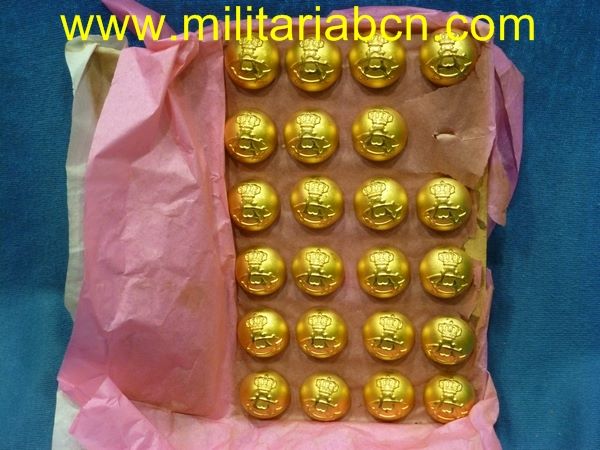 Conjunto de 23 botones.  Academia General Militar.  Modelo 1882.  Tamaño grande.  21  mm
