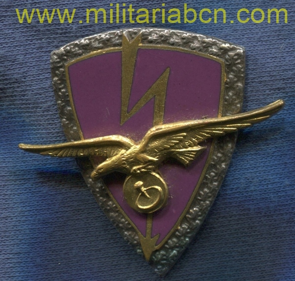 Insignia Escadron de câbles hertziens 10/801. Armée de l'Air. Drago Paris A959.