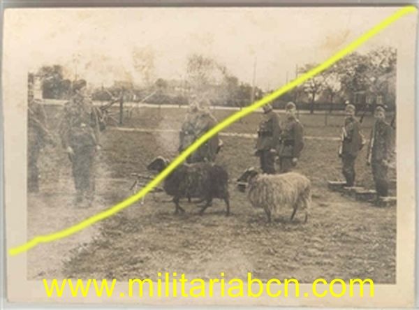 Militaria Barcelona