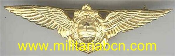 ARGENTINA. Piloto de la Marina. 1ª Clase.