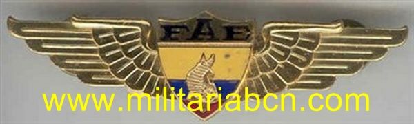 Fuerza Aéra del Ecuador. Basic.