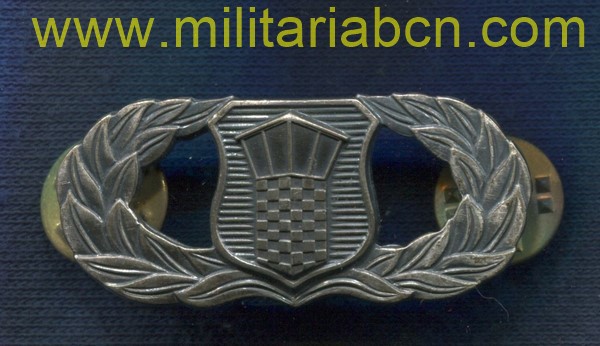 Insignia de Control Aéreo de la US Air Force. Marcada.