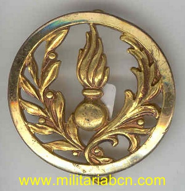 Insignia de boina. Intendencia.
